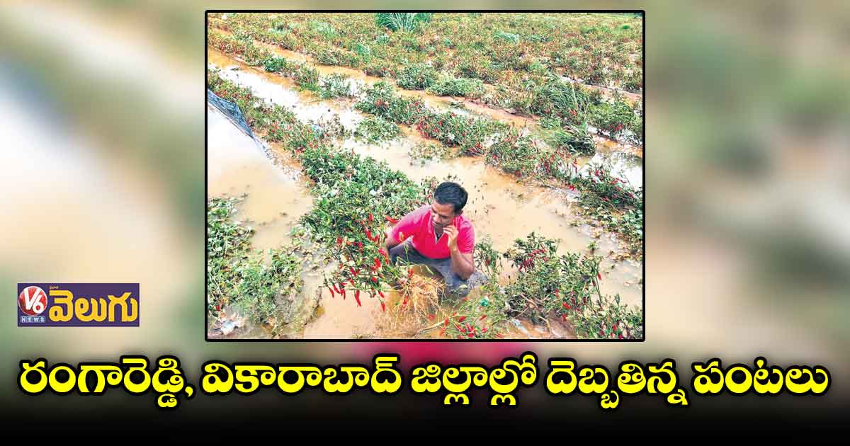 రంగారెడ్డి, వికారాబాద్ జిల్లాల్లో వర్ష బీభత్సం